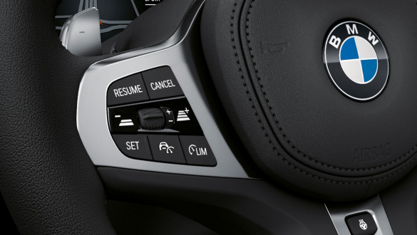 BMW Z4 Roadster Active Cruise Control Steering wheel of the BMW Z4 Roadster with buttons
